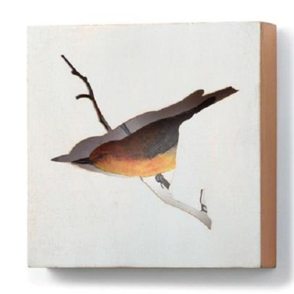 The Nathan Murrell Collection Bird Shadow Box NEW
